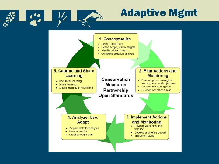 Adaptive Mgmt 