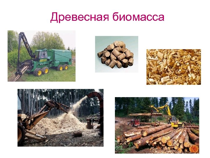 Древесная биомасса 12 