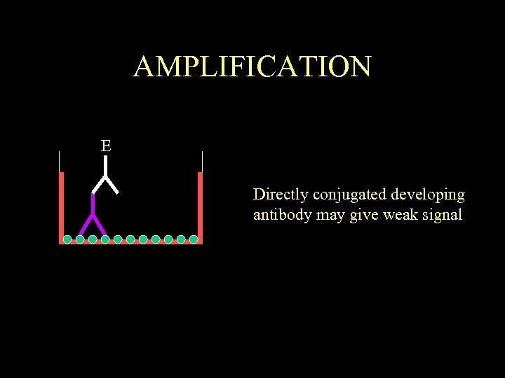 AMPLIFICATION E Directly conjugated developing antibody may give weak signal 