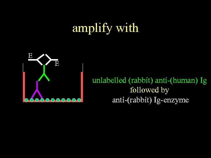 amplify with E E unlabelled (rabbit) anti-(human) Ig followed by anti-(rabbit) Ig-enzyme 