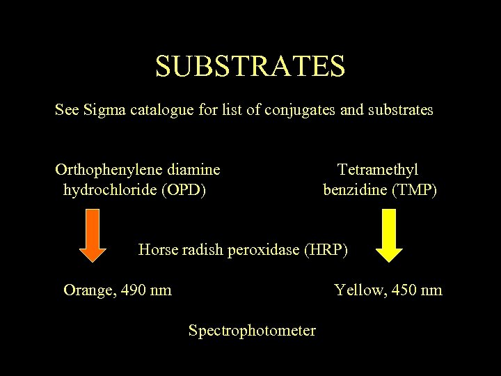 SUBSTRATES See Sigma catalogue for list of conjugates and substrates Orthophenylene diamine hydrochloride (OPD)
