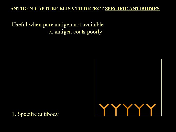 ANTIGEN-CAPTURE ELISA TO DETECT SPECIFIC ANTIBODIES Useful when pure antigen not available or antigen