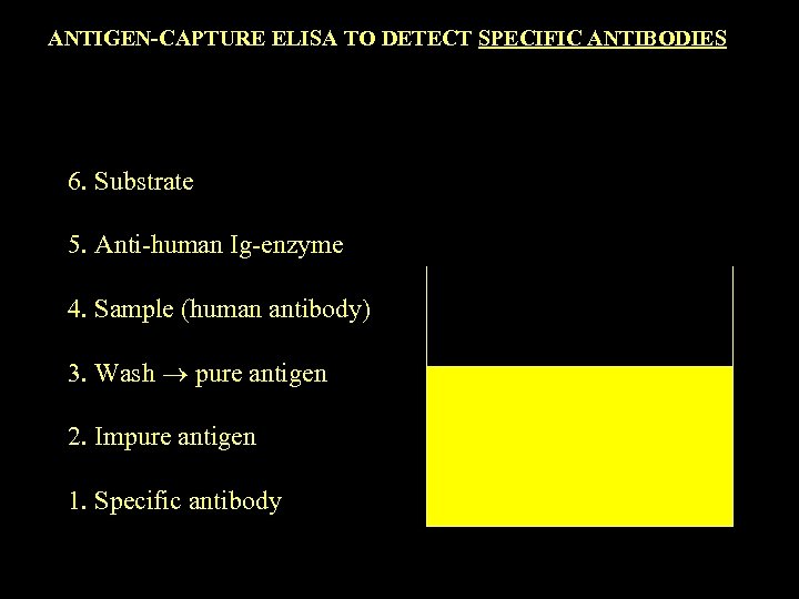 ANTIGEN-CAPTURE ELISA TO DETECT SPECIFIC ANTIBODIES 6. Substrate 5. Anti-human Ig-enzyme 4. Sample (human