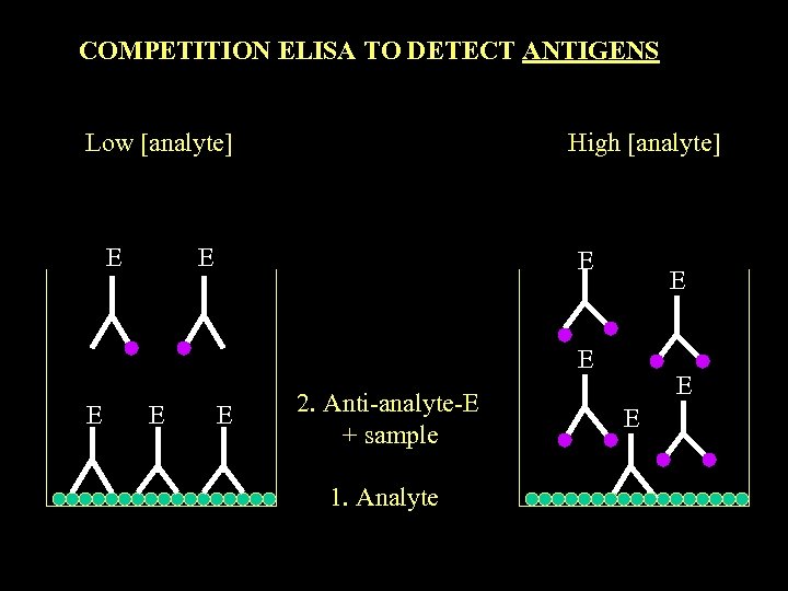 COMPETITION ELISA TO DETECT ANTIGENS Low [analyte] E High [analyte] E E E E