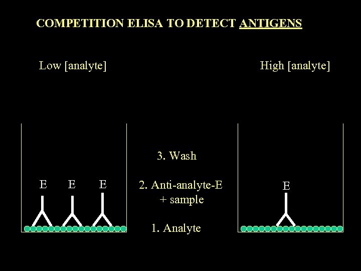 COMPETITION ELISA TO DETECT ANTIGENS Low [analyte] High [analyte] 3. Wash E E E