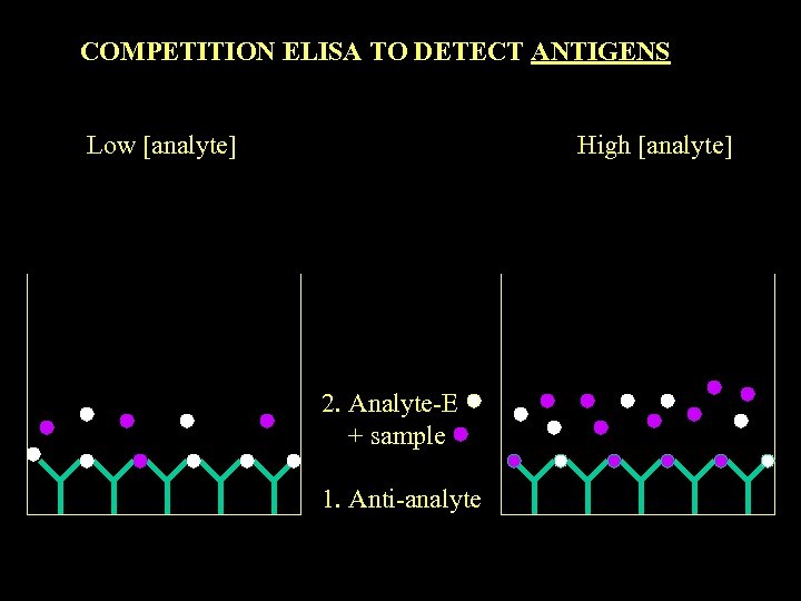 COMPETITION ELISA TO DETECT ANTIGENS Low [analyte] High [analyte] 2. Analyte-E + sample 1.