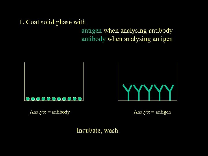 1. Coat solid phase with antigen when analysing antibody when analysing antigen Analyte =