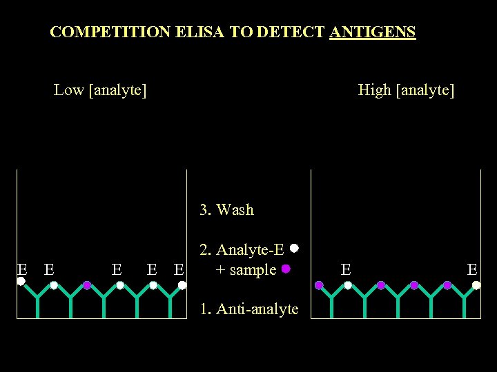 COMPETITION ELISA TO DETECT ANTIGENS Low [analyte] High [analyte] 3. Wash E E 2.