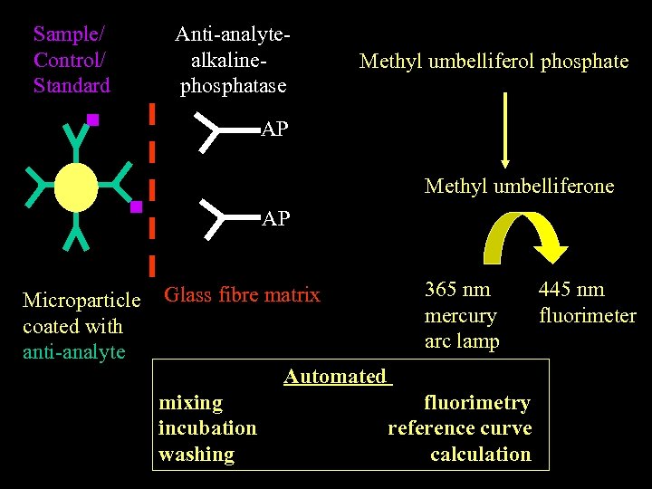 Sample/ Control/ Standard Anti-analytealkalinephosphatase Methyl umbelliferol phosphate AP Methyl umbelliferone AP Microparticle coated with
