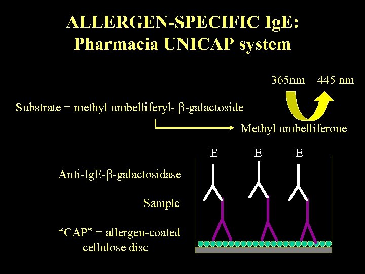ALLERGEN-SPECIFIC Ig. E: Pharmacia UNICAP system 365 nm 445 nm Substrate = methyl umbelliferyl-