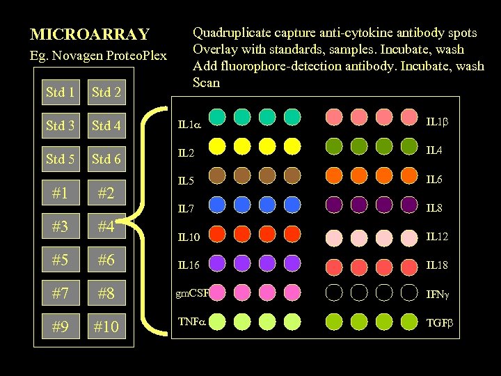 MICROARRAY Eg. Novagen Proteo. Plex Quadruplicate capture anti-cytokine antibody spots Overlay with standards, samples.