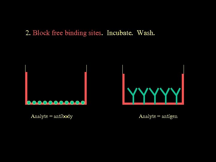 2. Block free binding sites. Incubate. Wash. Analyte = antibody Analyte = antigen 