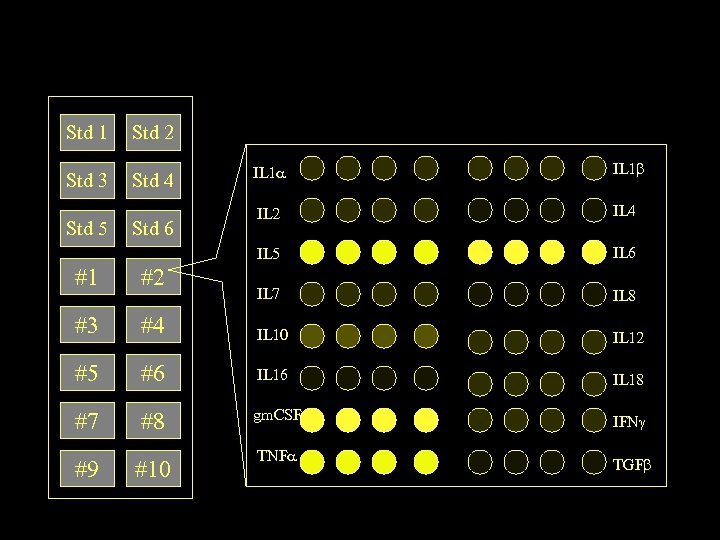 Std 1 Std 2 Std 3 Std 4 Std 6 IL 1 IL 2