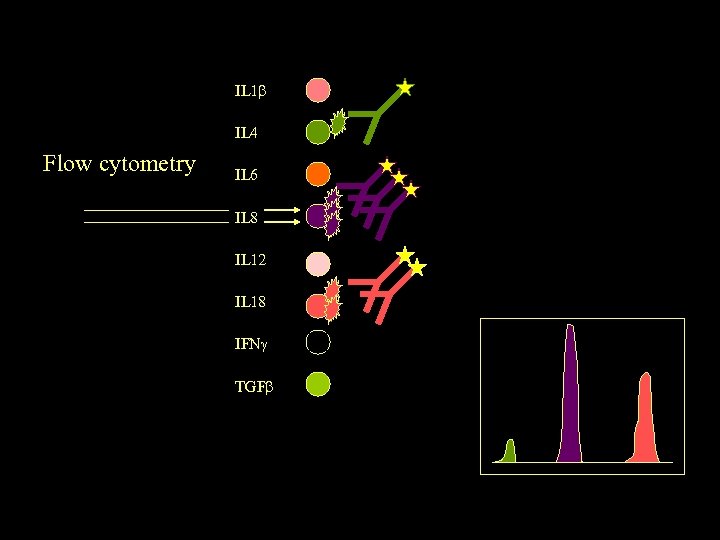 IL 1 IL 4 Flow cytometry IL 6 IL 8 IL 12 IL 18