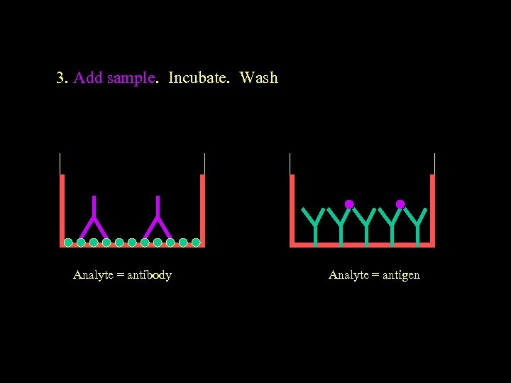 3. Add sample. Incubate. Wash Analyte = antibody Analyte = antigen 