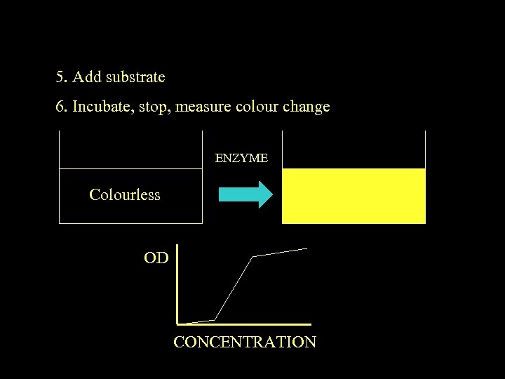 5. Add substrate 6. Incubate, stop, measure colour change ENZYME Colourless OD CONCENTRATION 