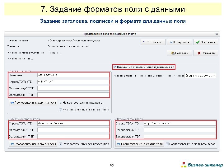 7. Задание форматов поля с данными Задание заголовка, подписей и формата для данных поля