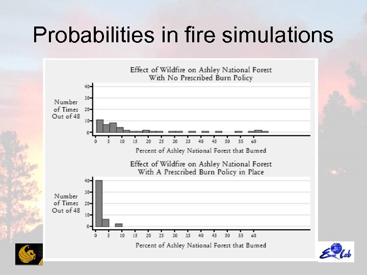 Probabilities in fire simulations 