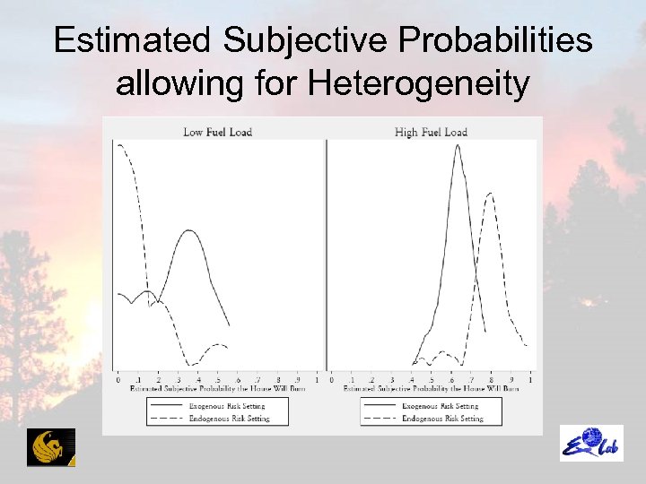 Estimated Subjective Probabilities allowing for Heterogeneity 