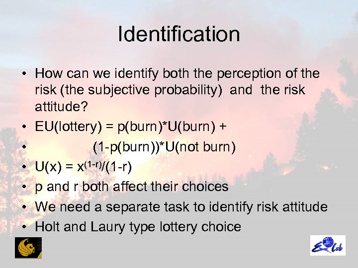 Identification • How can we identify both the perception of the risk (the subjective