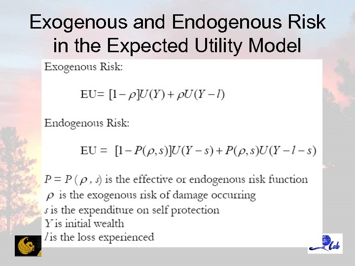 Exogenous and Endogenous Risk in the Expected Utility Model 