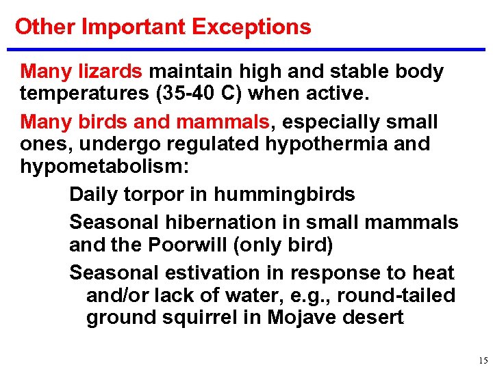 Other Important Exceptions Many lizards maintain high and stable body temperatures (35 -40 C)