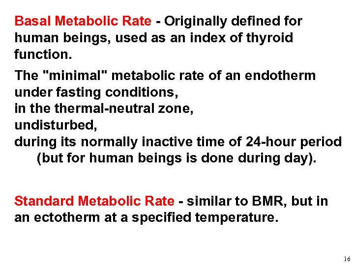 Basal Metabolic Rate - Originally defined for human beings, used as an index of