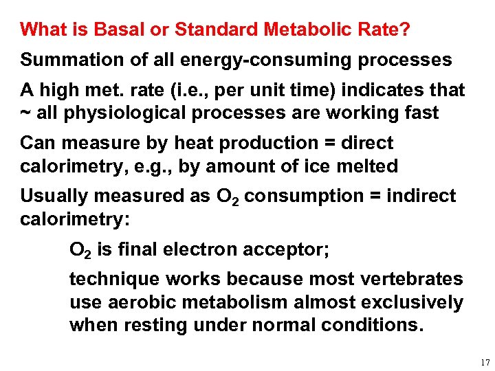 What is Basal or Standard Metabolic Rate? Summation of all energy-consuming processes A high