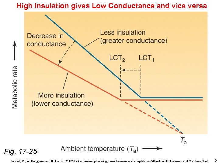 High Insulation gives Low Conductance and vice versa Fig. 17 -25 Randall, D. ,