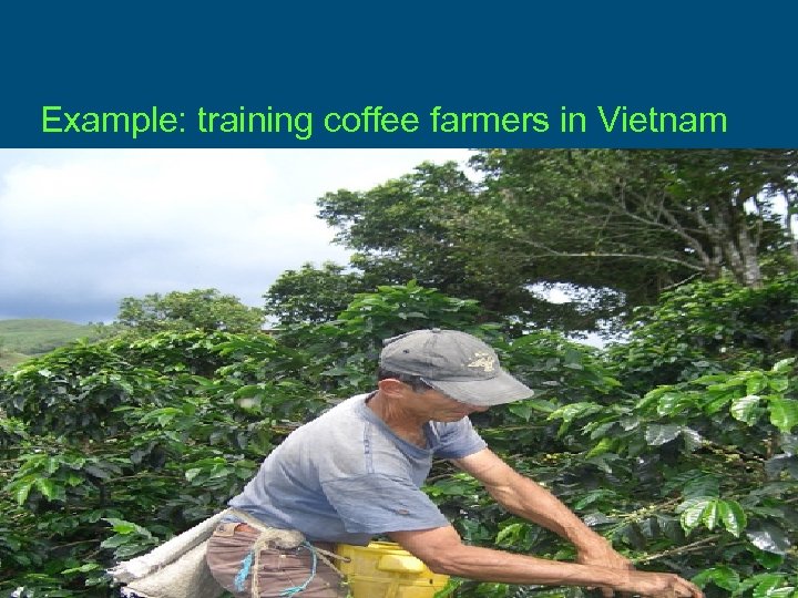 Example: training coffee farmers in Vietnam 