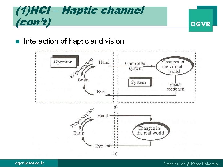 (1)HCI – Haptic channel (con’t) n CGVR Interaction of haptic and vision cgvr. korea.