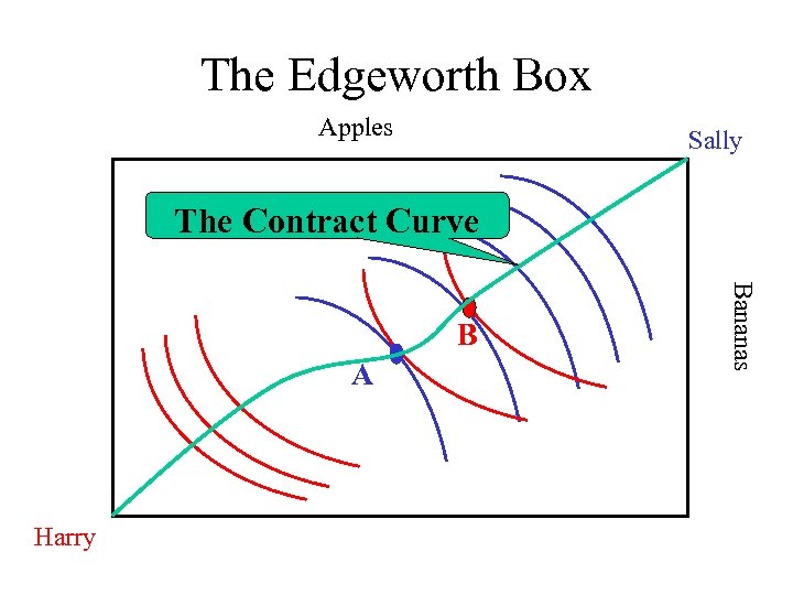 The Edgeworth Box Apples Sally The Contract Curve A Harry Bananas B 