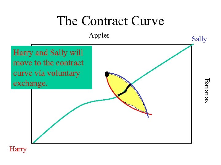 The Contract Curve Apples Harry Bananas Harry and Sally will move to the contract