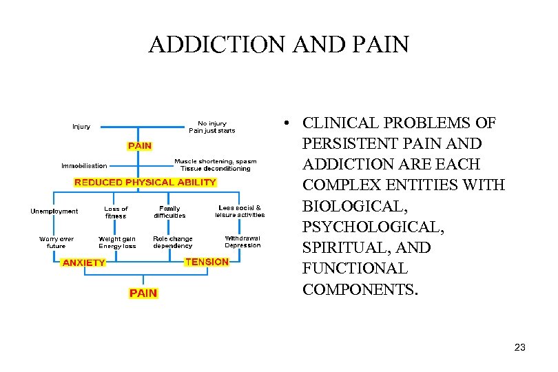 ADDICTION AND PAIN • CLINICAL PROBLEMS OF PERSISTENT PAIN AND ADDICTION ARE EACH COMPLEX