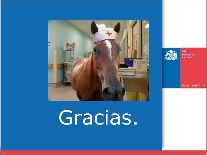 Gracias. 