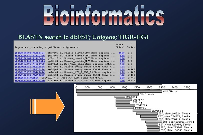 BLASTN search to db. EST; Unigene; TIGR-HGI 