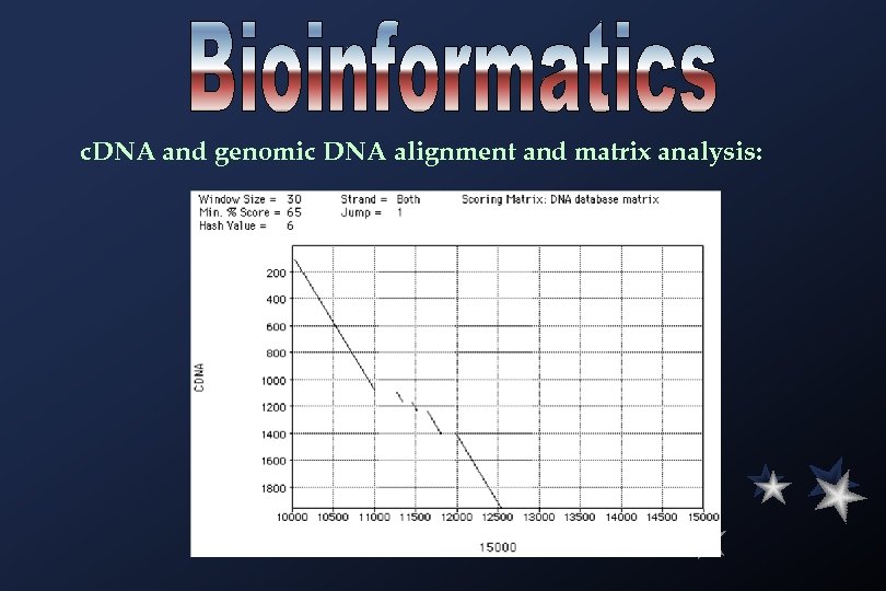 c. DNA and genomic DNA alignment and matrix analysis: 