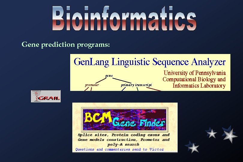 Gene prediction programs: 