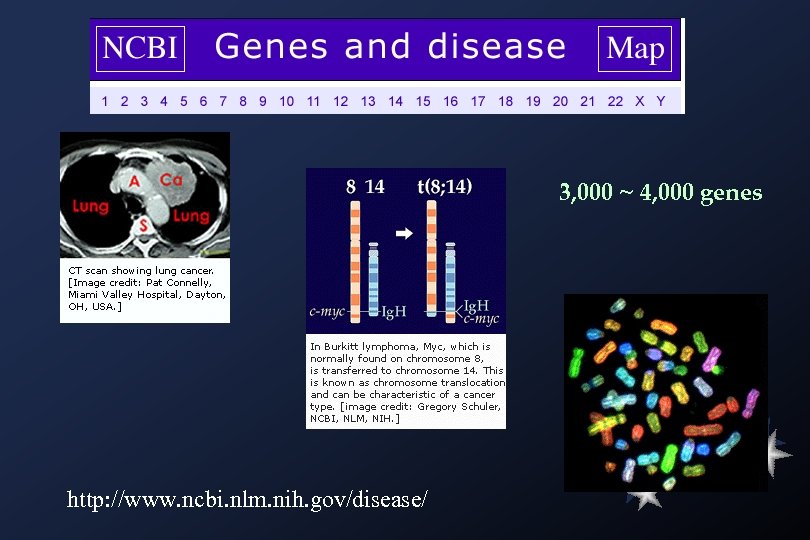 3, 000 ~ 4, 000 genes http: //www. ncbi. nlm. nih. gov/disease/ 