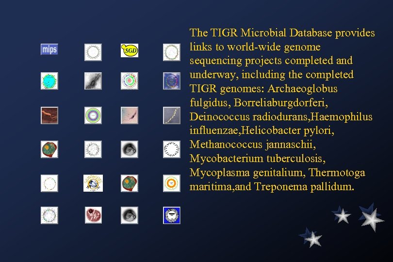 The TIGR Microbial Database provides links to world-wide genome sequencing projects completed and underway,