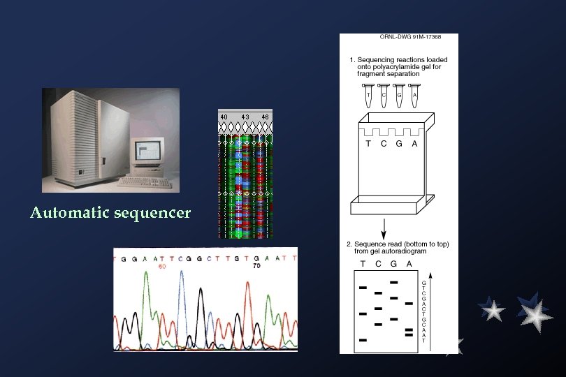 Automatic sequencer 