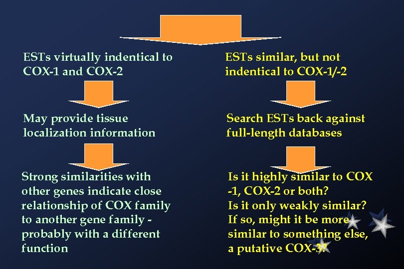 ESTs virtually indentical to COX-1 and COX-2 ESTs similar, but not indentical to COX-1/-2