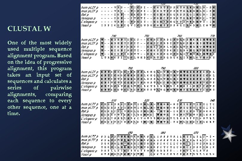 CLUSTAL W One of the most widely used multiple sequence alignment program. Based on