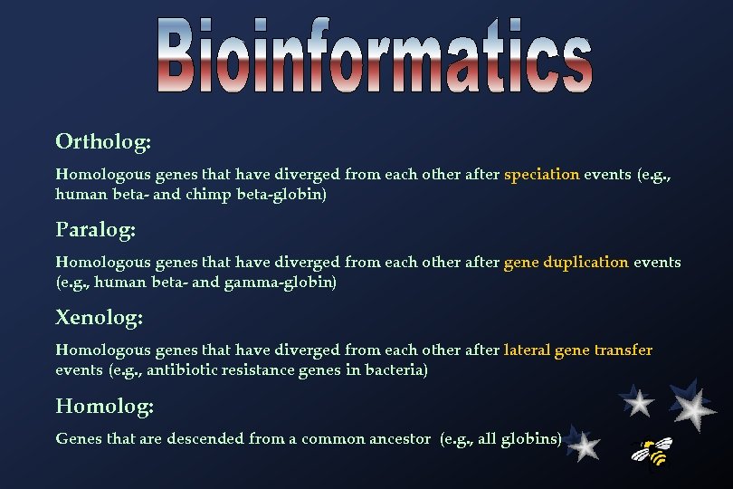 Ortholog: Homologous genes that have diverged from each other after speciation events (e. g.