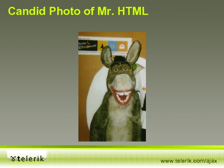 Candid Photo of Mr. HTML www. telerik. com/ajax 