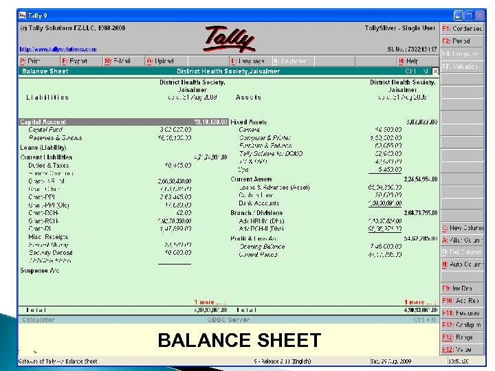 BALANCE SHEET 