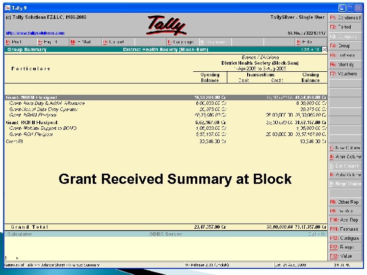 Grant Received Summary at Block 