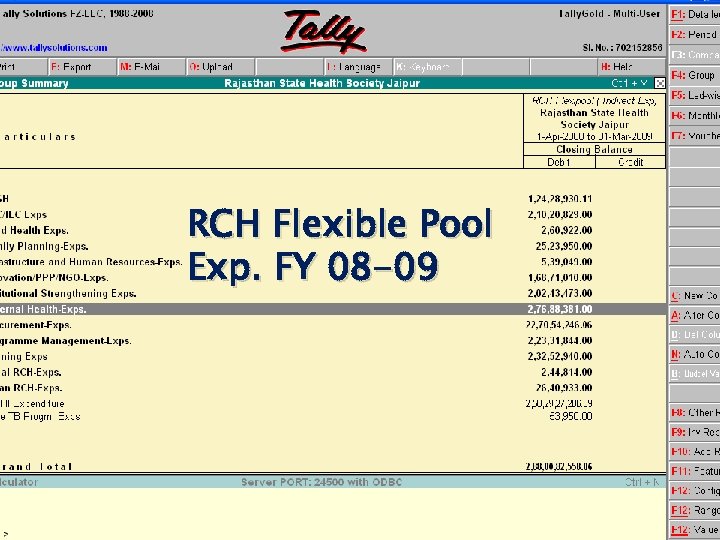 RCH Flexible Pool Exp. FY 08 -09 