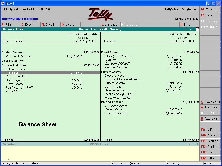 Balance Sheet 