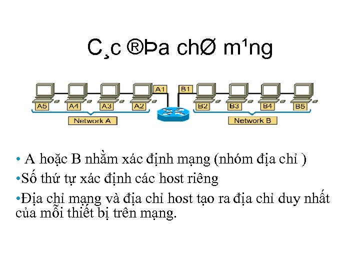 C¸c ®Þa chØ m¹ng • A hoặc B nhằm xác định mạng (nhóm địa